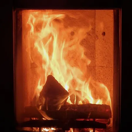 Dom wakacyjny Bluetenlodge Bodensee *