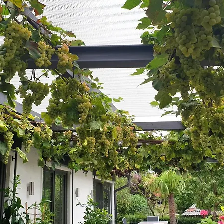 Bluetenlodge Bodensee * Bodolz