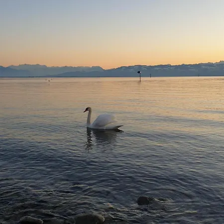 Bluetenlodge Bodensee Prázdninový dům *